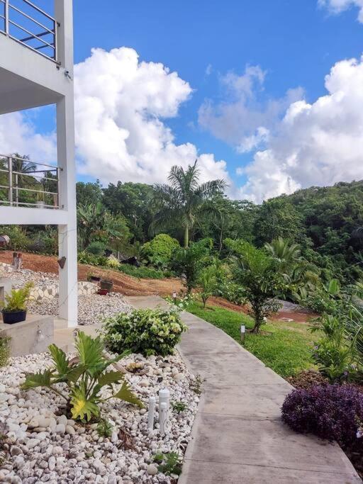 The Willow Apartment Ocho Rios Kültér fotó