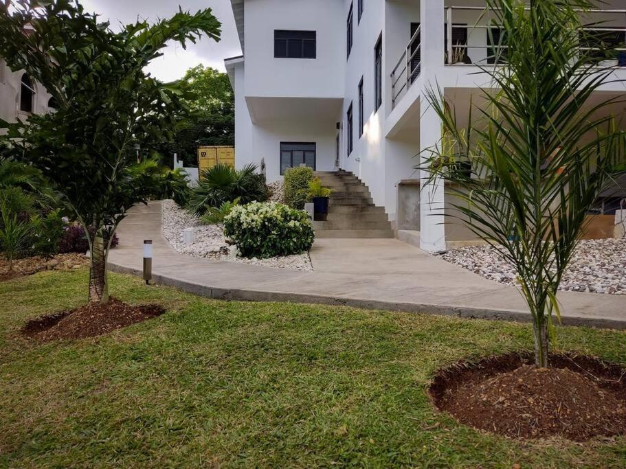 The Willow Apartment Ocho Rios Kültér fotó