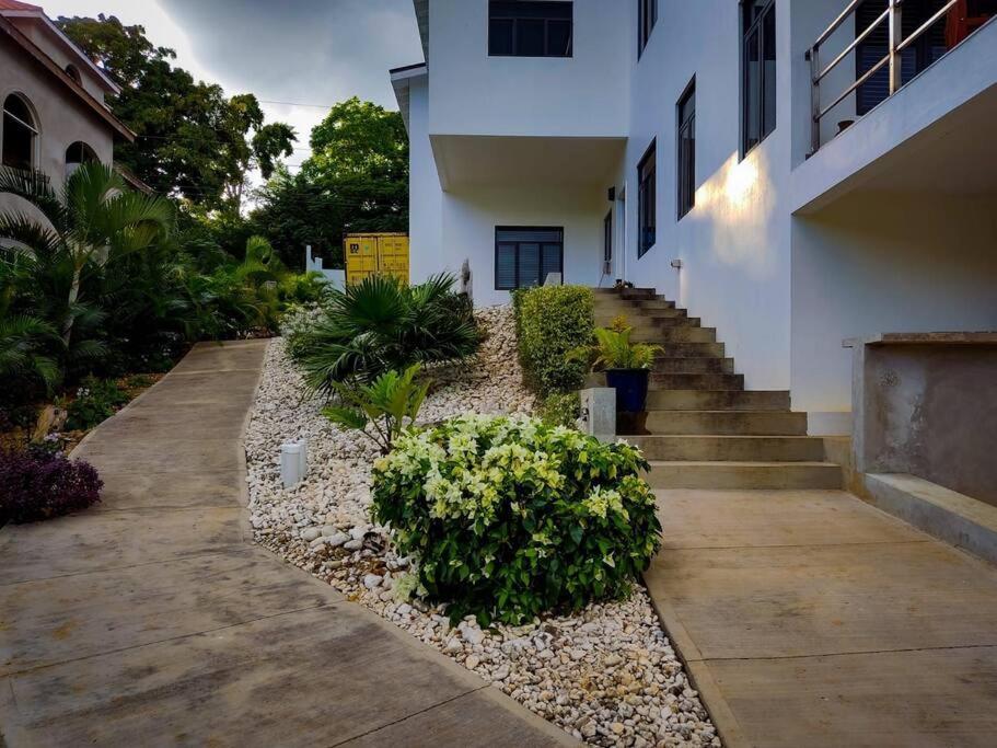 The Willow Apartment Ocho Rios Kültér fotó