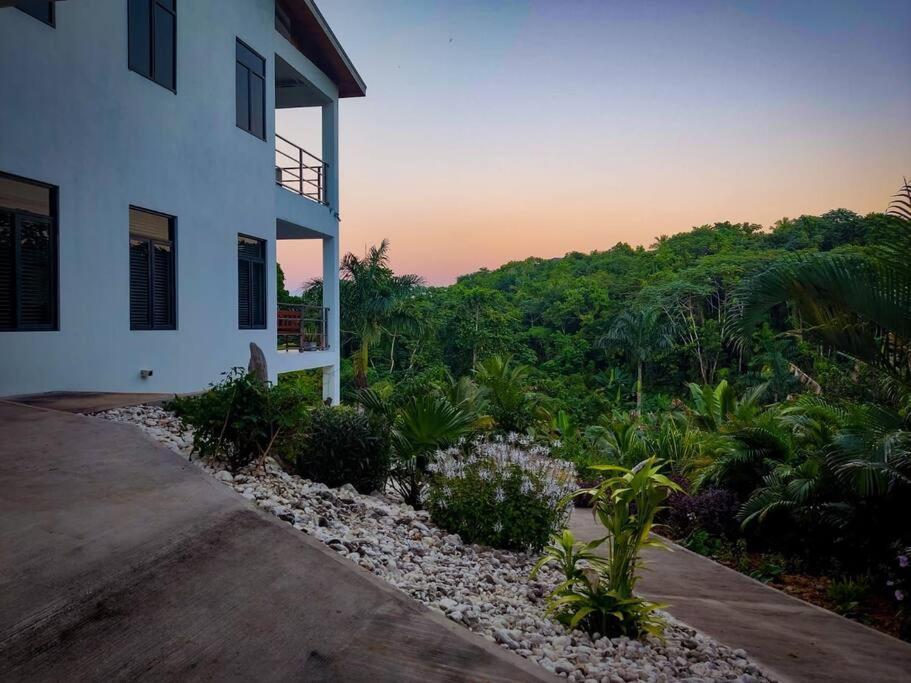 The Willow Apartment Ocho Rios Kültér fotó