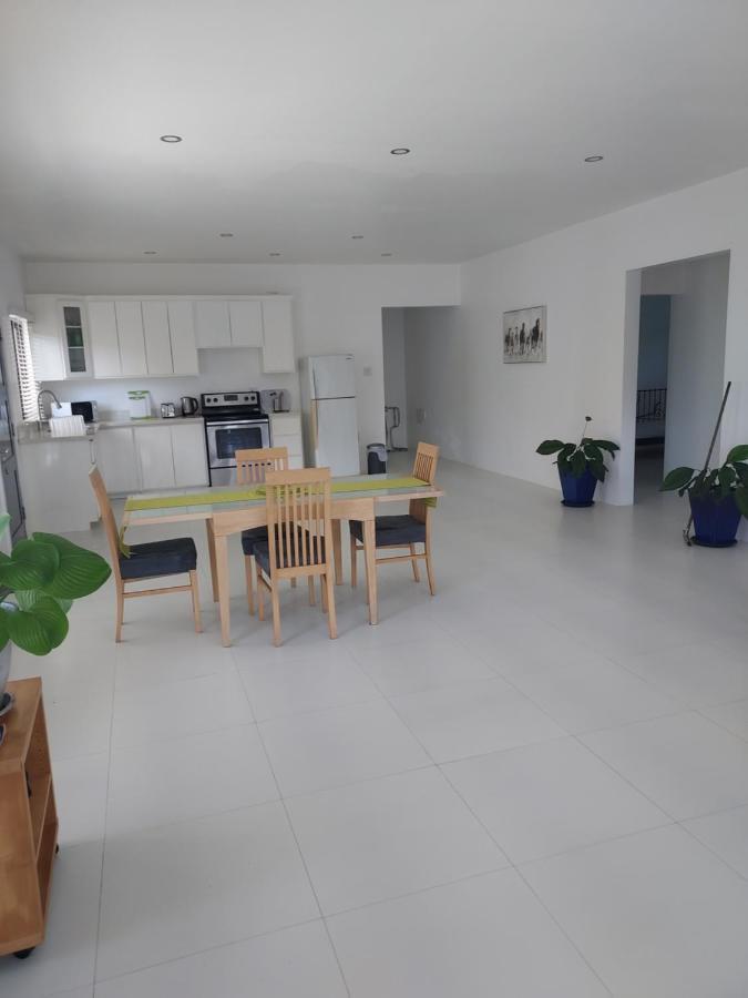 The Willow Apartment Ocho Rios Kültér fotó